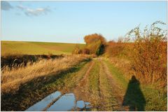 Weinviertel - November