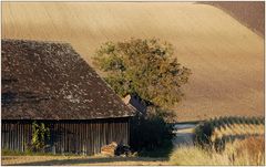 Weinviertel - Oktober -3-