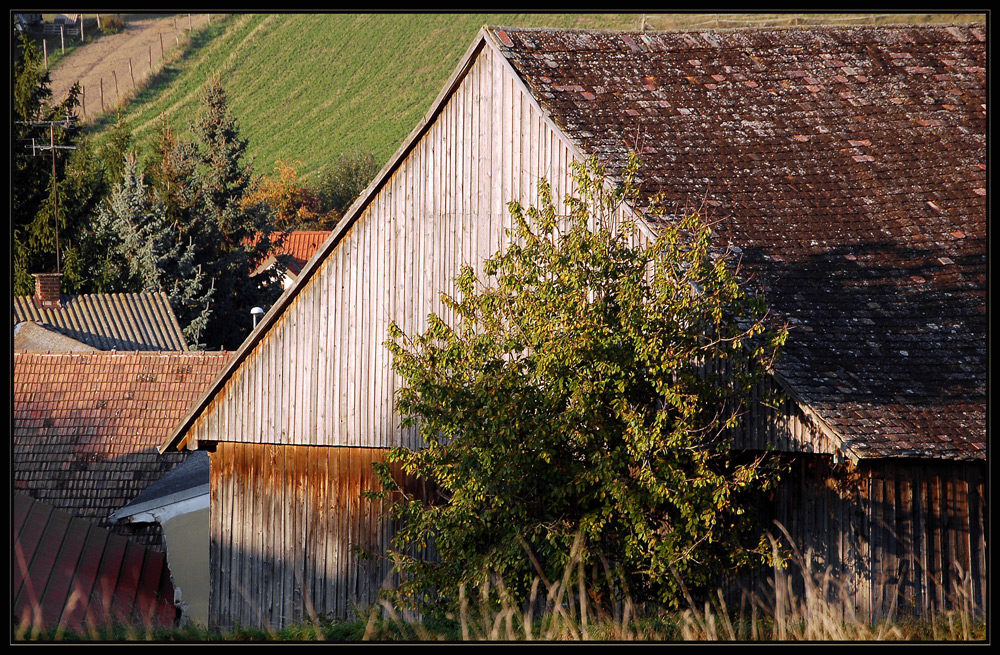 Weinviertel - Oktober -4-