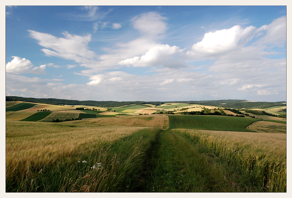 Weinviertel - was sonst!