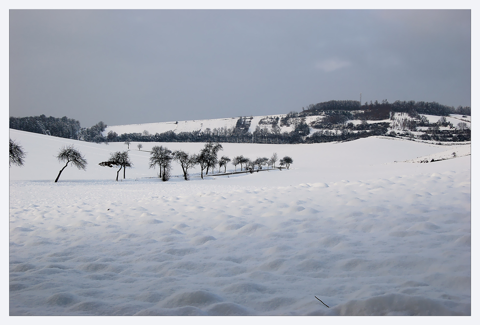 Weinviertel-Winter