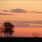 Weinviertler Abendstimmung *2*