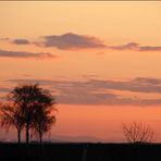 Weinviertler Abendstimmung *2*