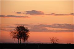 Weinviertler Abendstimmung *2*