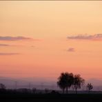 Weinviertler Abendstimmung