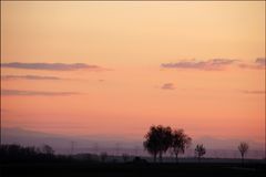 Weinviertler Abendstimmung