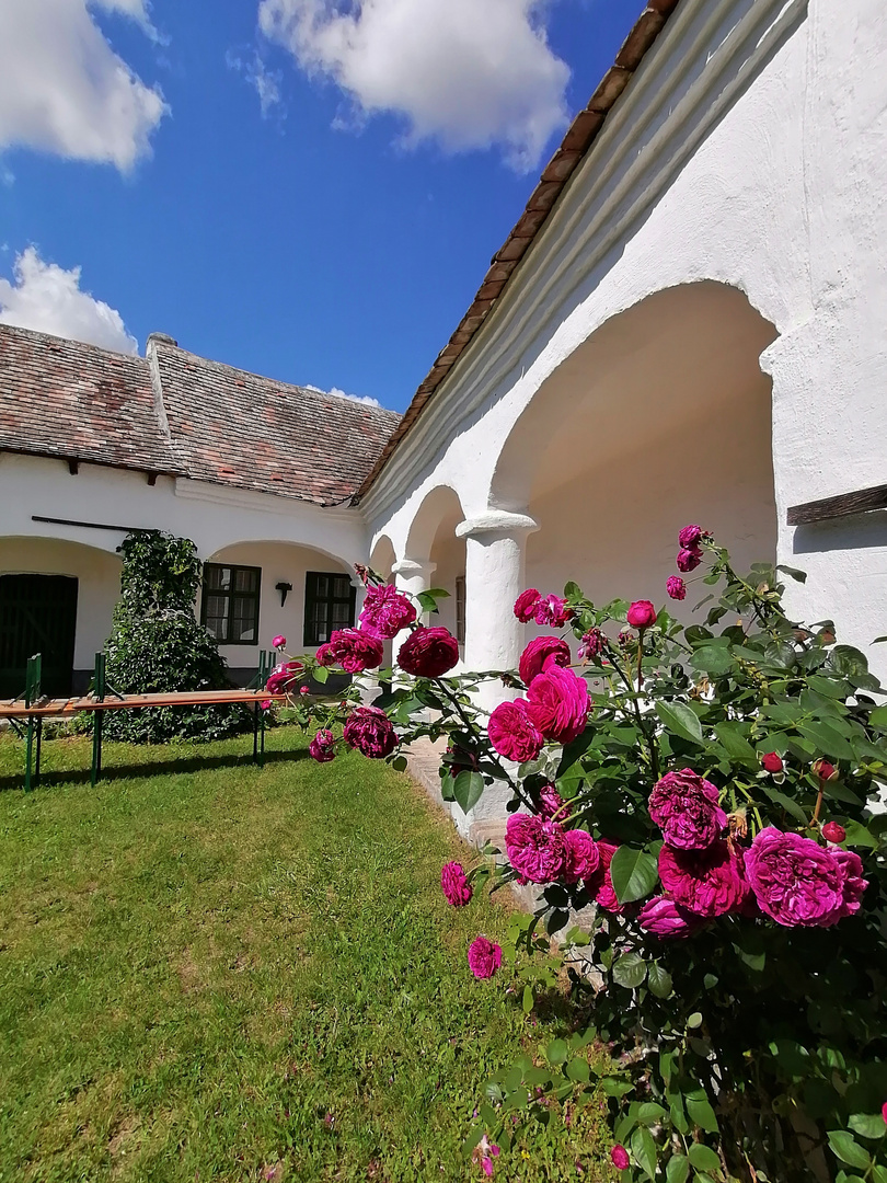 Weinviertler Bauernhaus