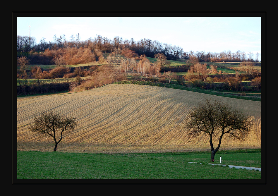 Weinviertler Frühling oder Herbst?