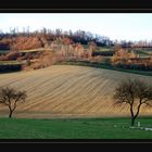 Weinviertler Frühling oder Herbst?