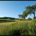 Weinviertler Frühlingsansichten