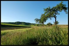 Weinviertler Frühlingsansichten