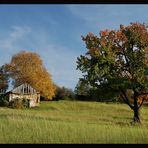 Weinviertler Herbst 08 ** 2