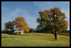 Weinviertler Herbst 08 ** 2