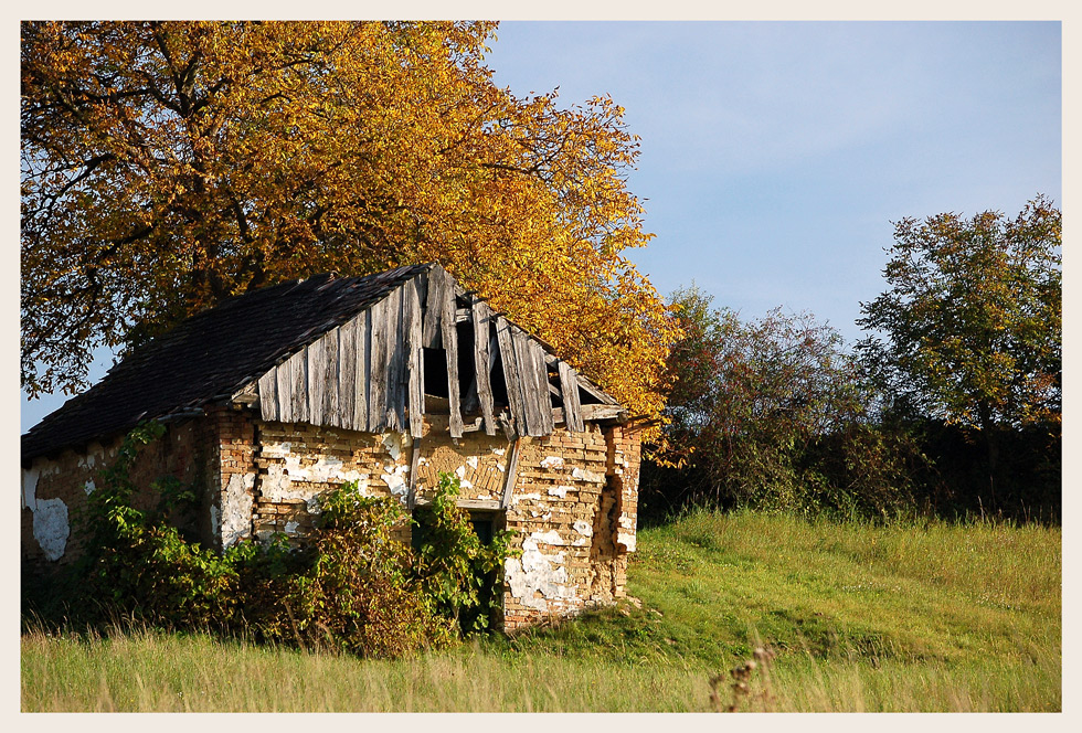 Weinviertler Herbst 08 ** 3