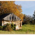 Weinviertler Herbst 08 ** 3