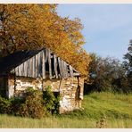 Weinviertler Herbst 08 ** 3