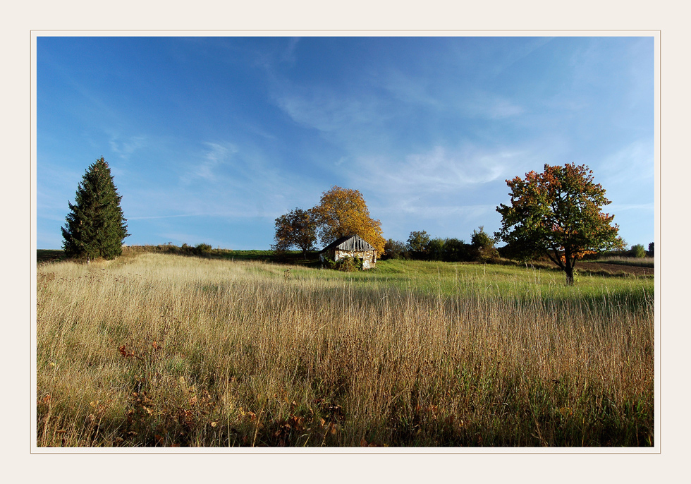 Weinviertler Herbst 08 ** 4