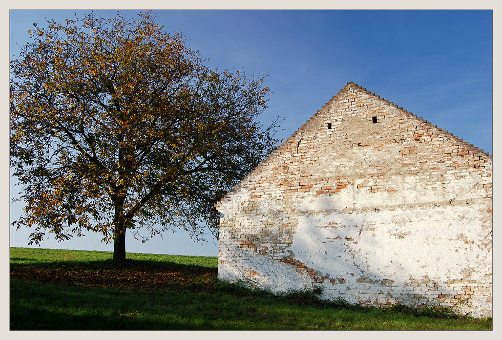 Weinviertler Herbst 08 ** 6