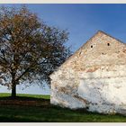 Weinviertler Herbst 08 ** 6