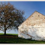 Weinviertler Herbst 08 ** 6