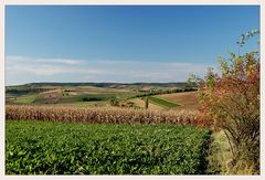 Weinviertler Herbst 08 ** 7