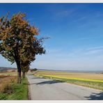 Weinviertler Herbst 08 ** 8