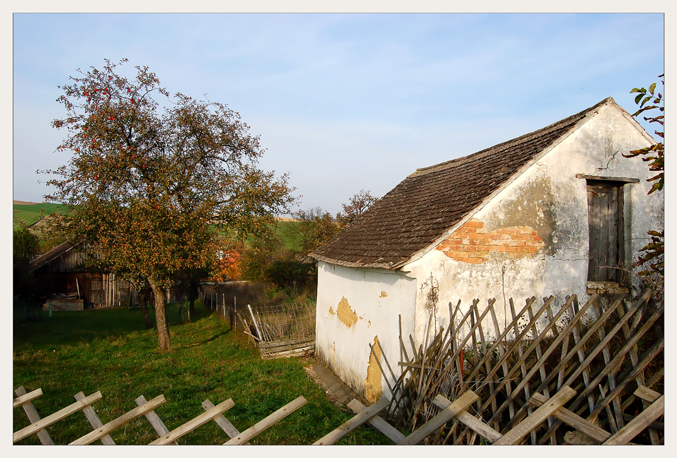 Weinviertler Herbst 08 **9