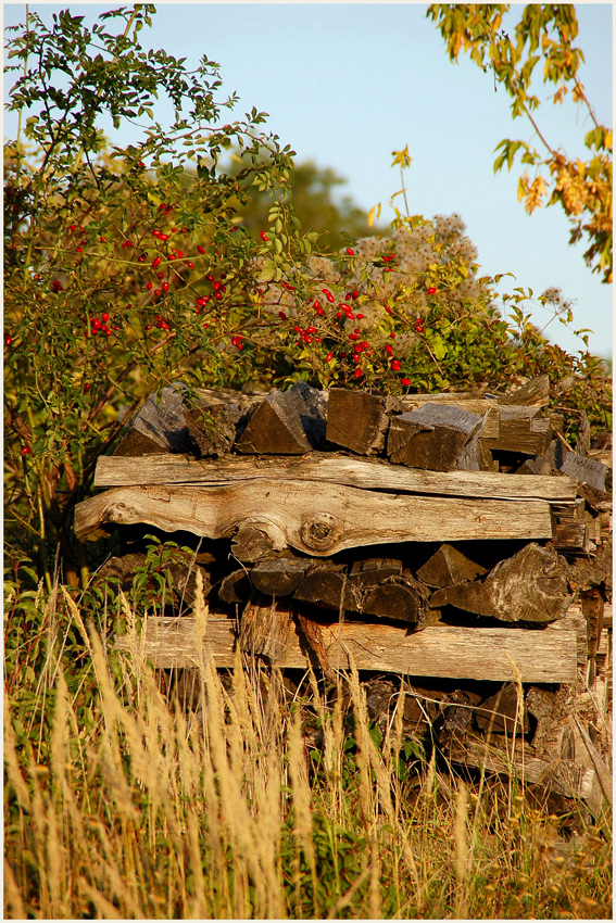 Weinviertler Herbst ~3