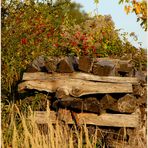 Weinviertler Herbst ~3