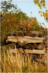 Weinviertler Herbst ~3