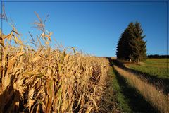 Weinviertler Herbst