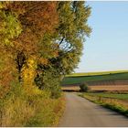 Weinviertler Herbstfarben