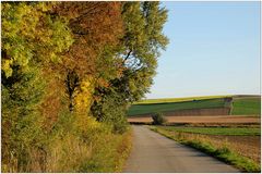 Weinviertler Herbstfarben