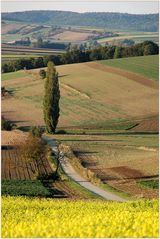 Weinviertler Herbstfarben *2*