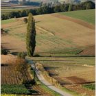 Weinviertler Herbstfarben *2*