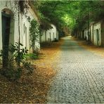 Weinviertler Kellergassen Romantik