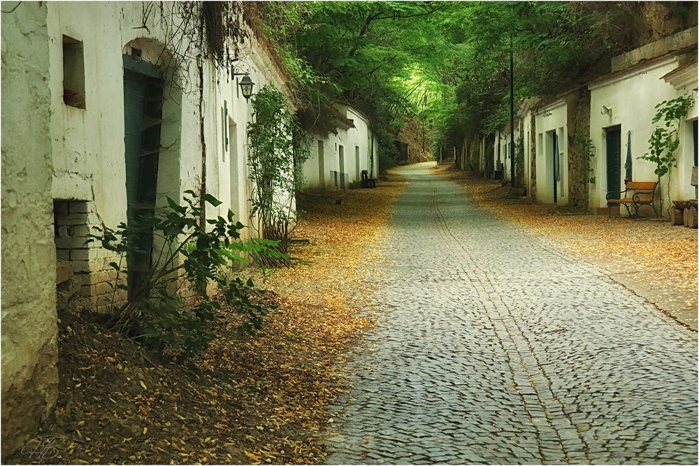 Weinviertler Kellergassen Romantik