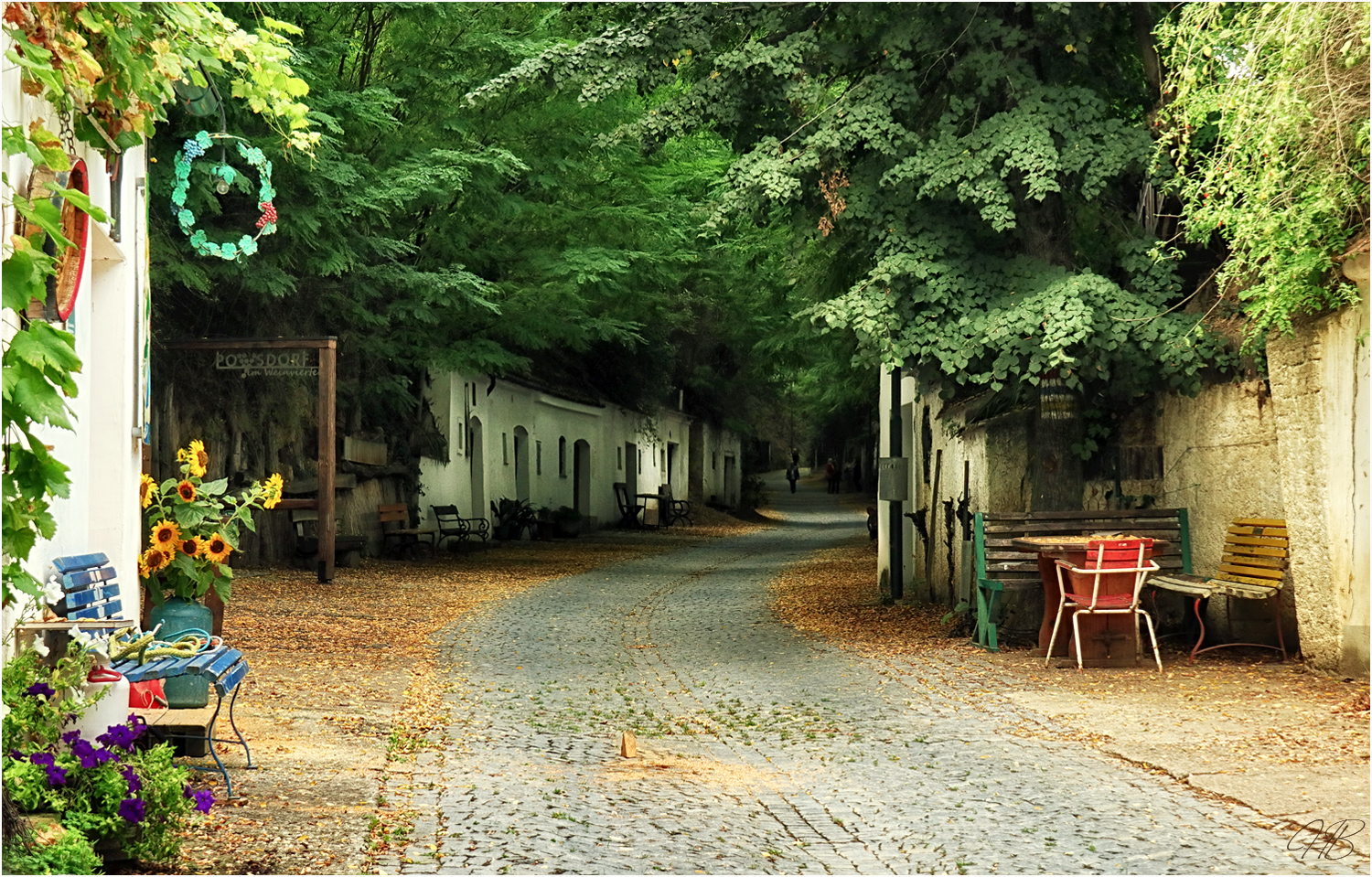 Weinviertler Kelllergasse