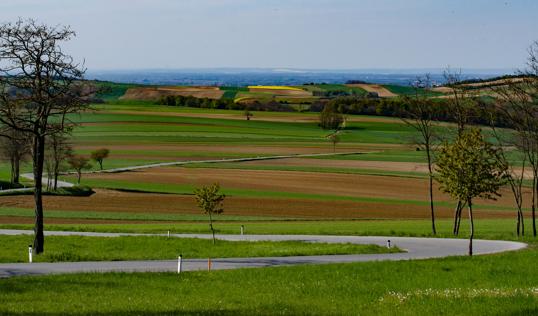 Weinviertler Landschaft