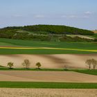 Weinviertler Landschaft