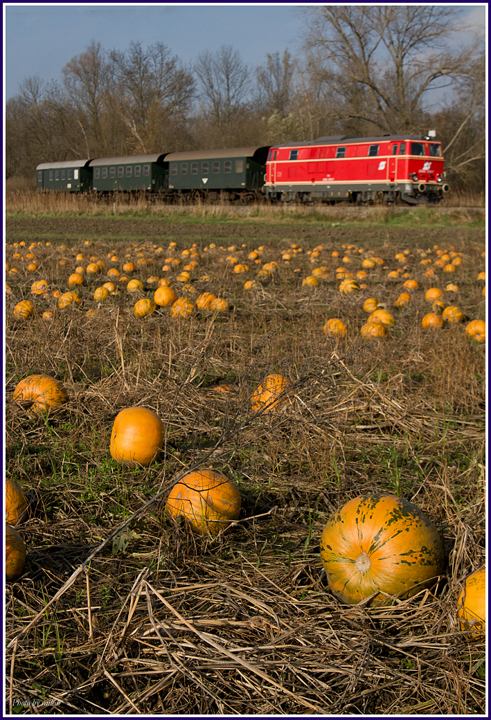 Weinviertler Plutzer