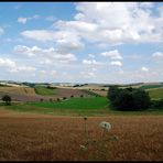 Weinviertler Sommer 09 **4