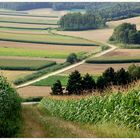 Weinviertler Sommer 09 **8