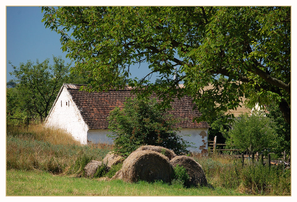 Weinviertler Sommer ~2~