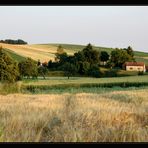 Weinviertler Sommeransichten ~4~