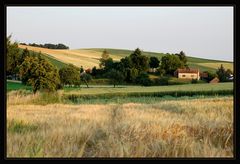 Weinviertler Sommeransichten ~4~