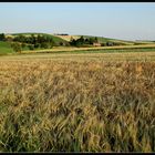 Weinviertler Sommeransichten