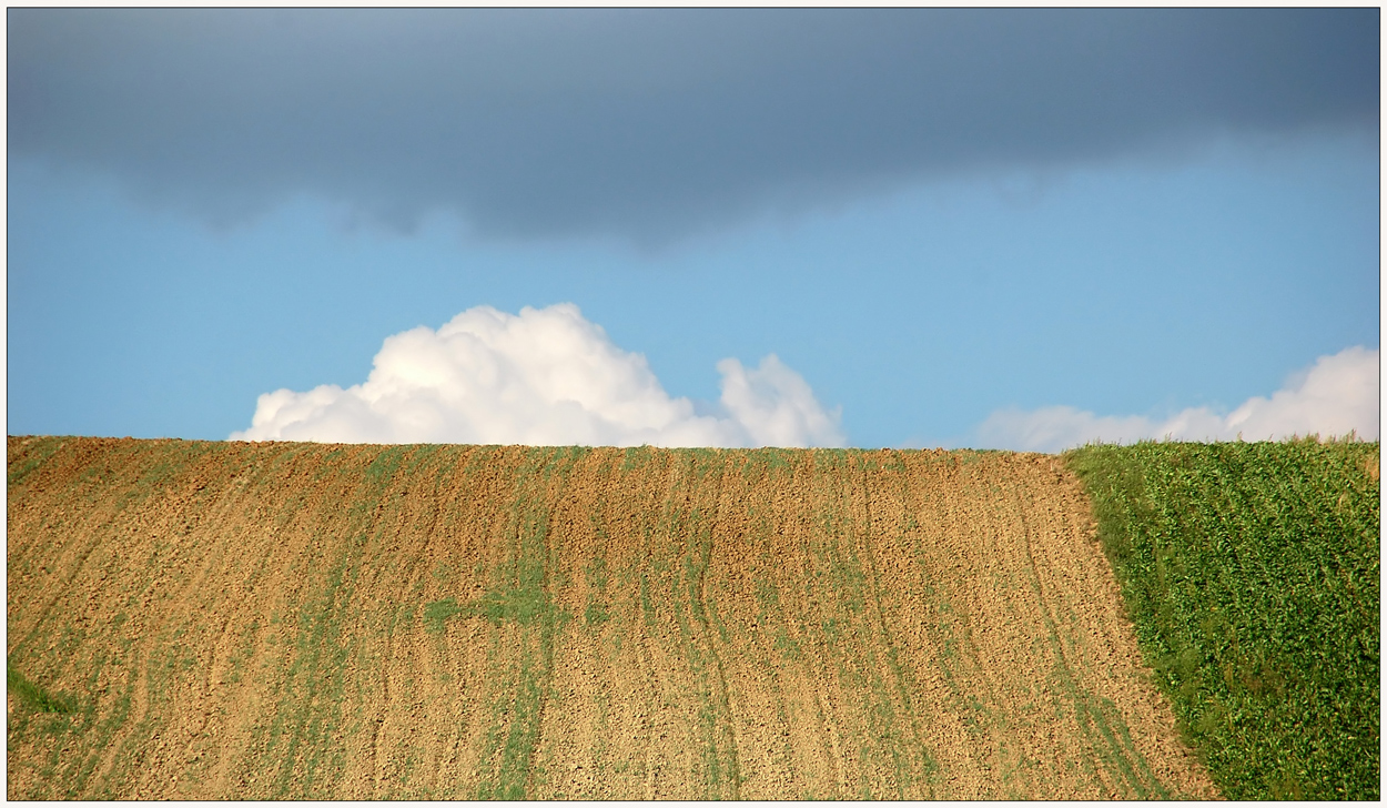 Weinviertler Sommerrückblick -13 -