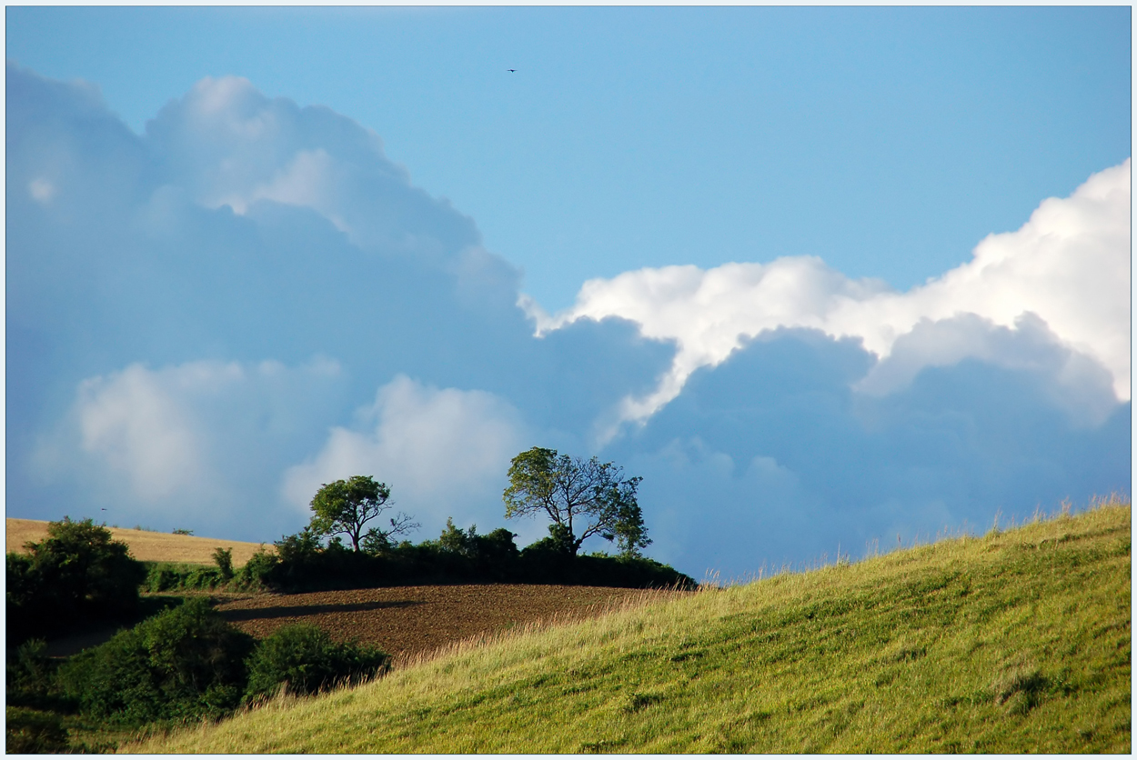 Weinviertler Sommerrückblick -2-