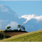 Weinviertler Sommerrückblick -2-